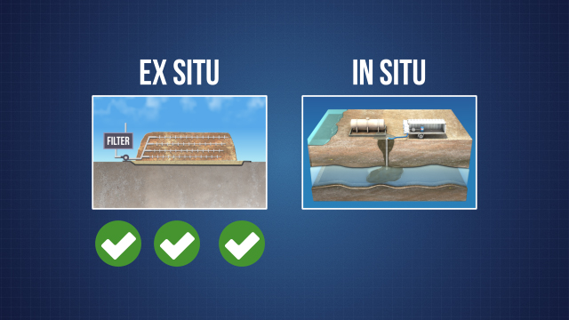 bioremediation