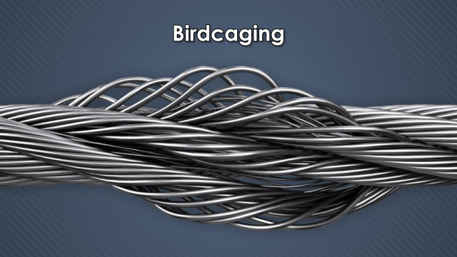 wire rope birdcage manufacturer
