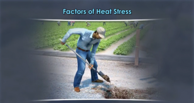Heat Stress Image