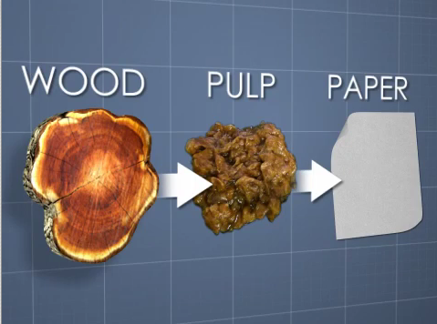 papermaking graphic