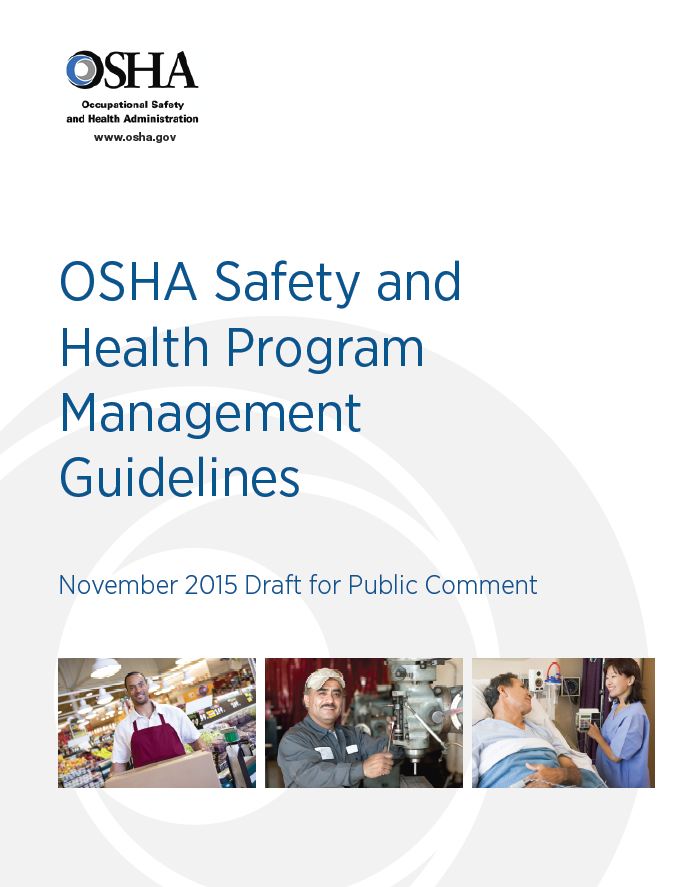 Safety and Health Management Standards and Guidelines ANSI Z10, OSHA's