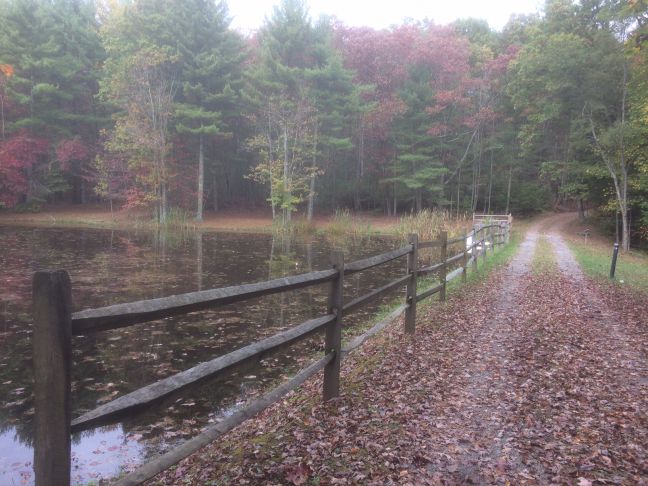 MSHA Academy Jogging Trail
