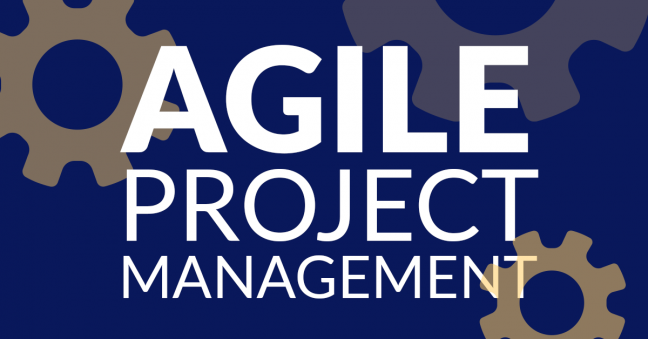 Agile Project Management Image