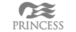 Princess logo